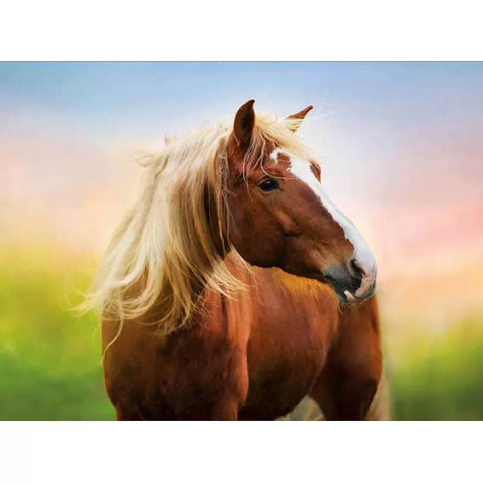 Flash Sale Brinquedos Educa Borras Puzzle 500P Horse At Dawn